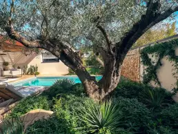 villa ollea olivier 1 uai