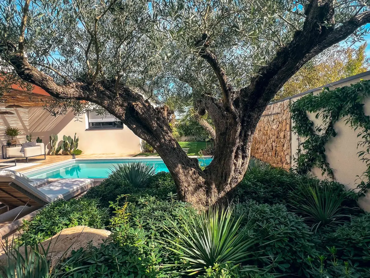 villa ollea olivier 1