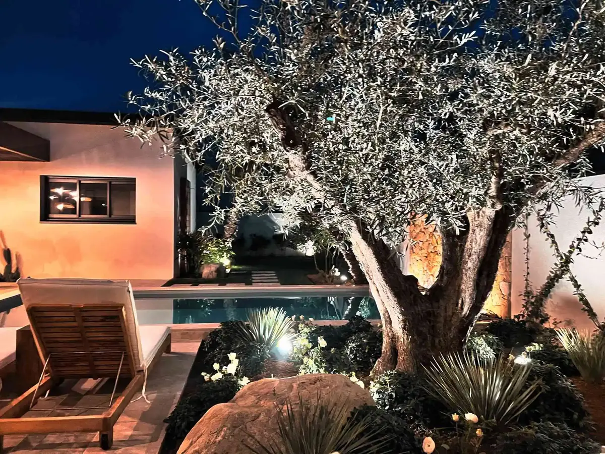 villa ollea olivier nuit