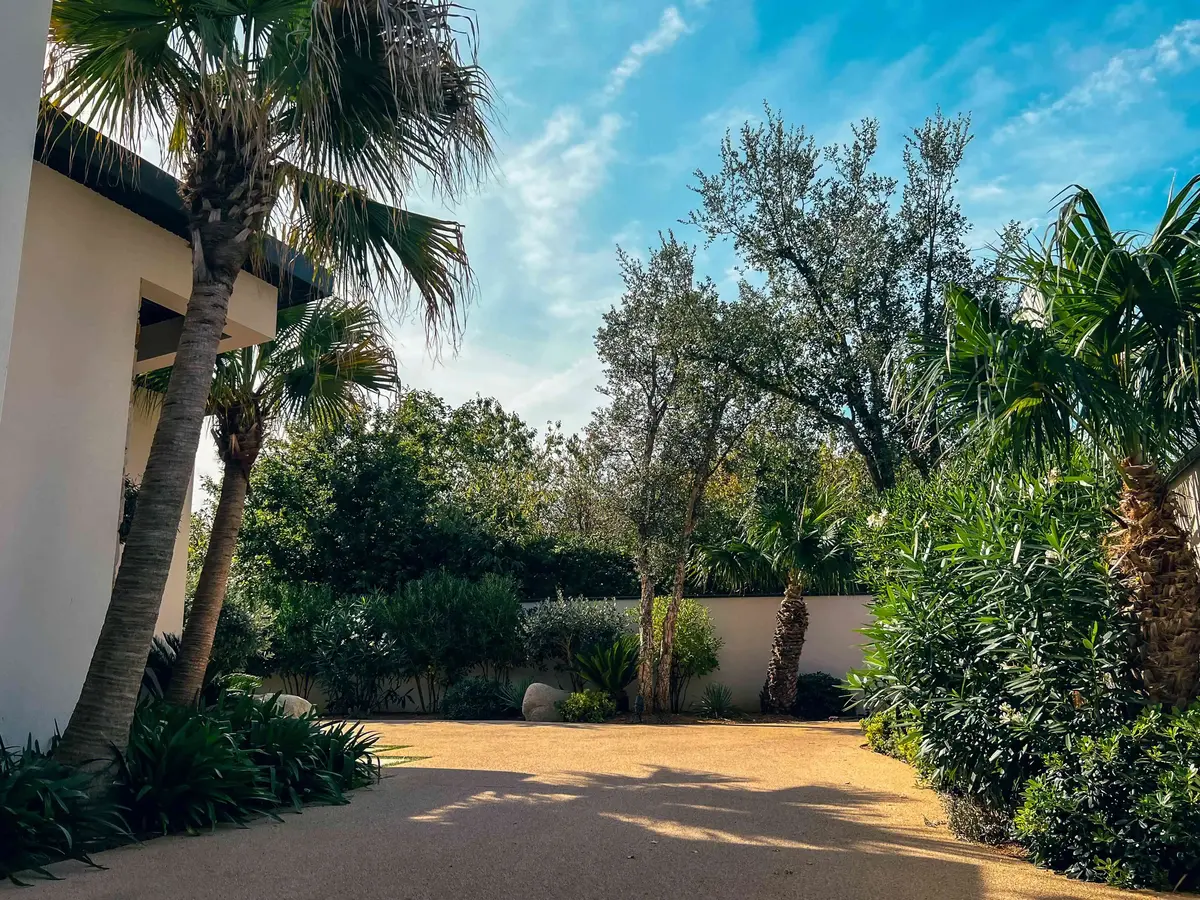 villa ollea plantes 1