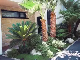 luxuriance plante 10 uai