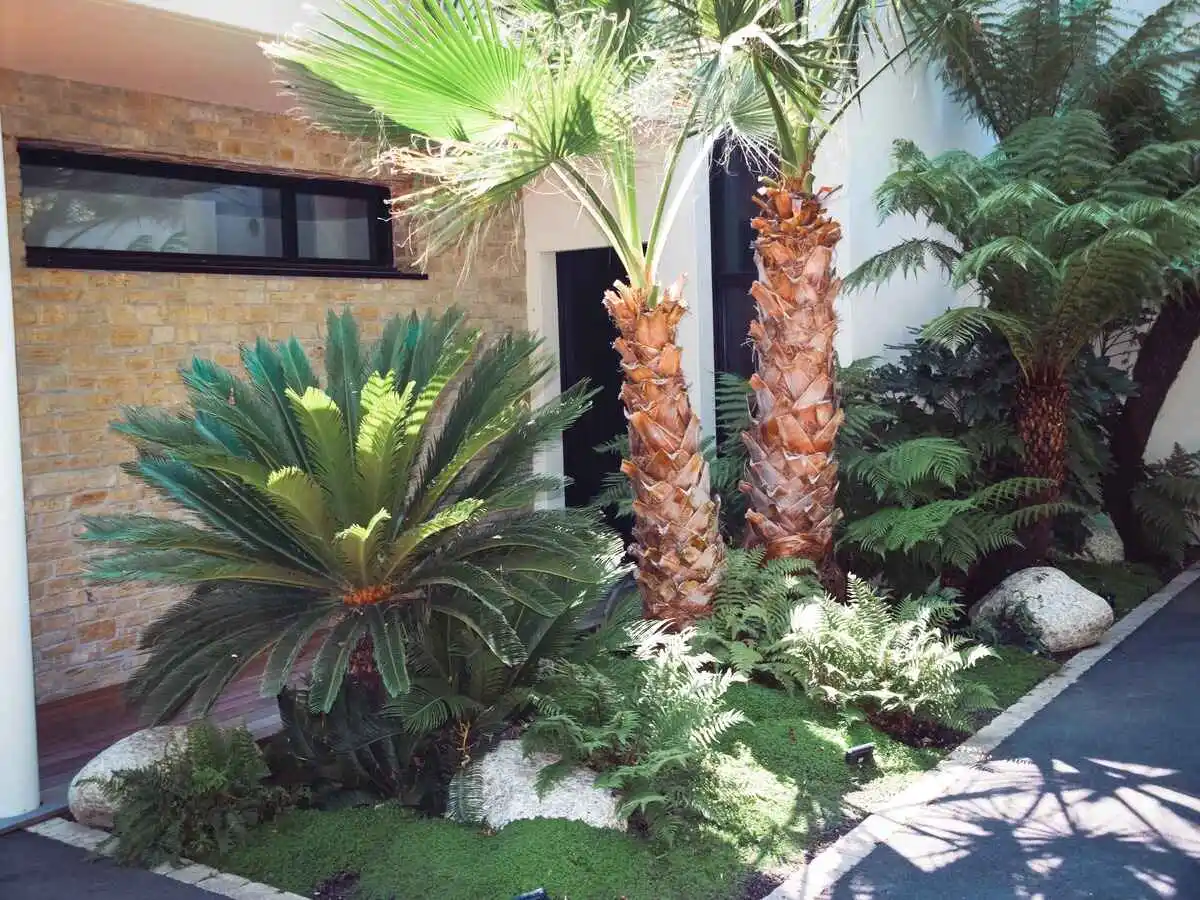 luxuriance plante 10