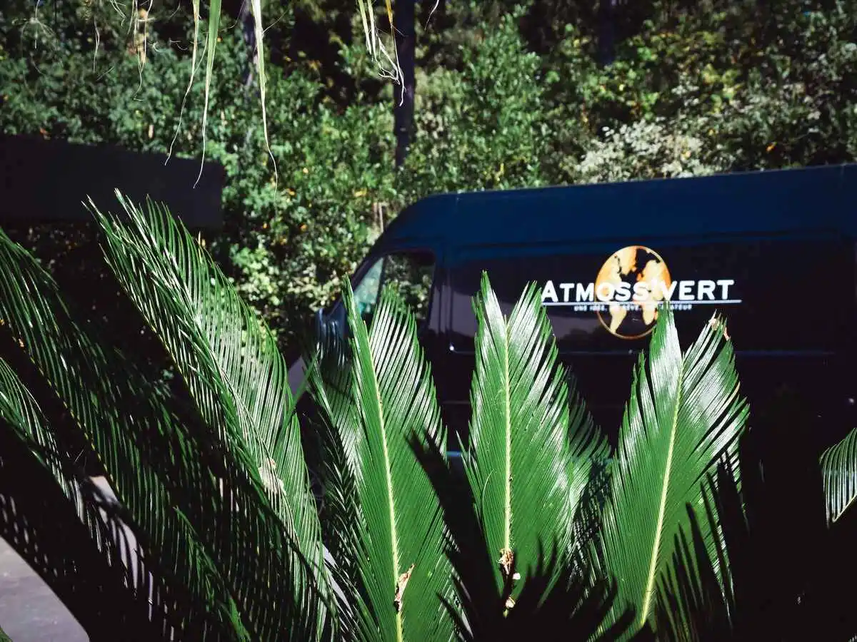 luxuriance plante apres 7
