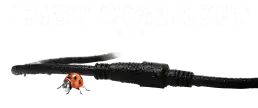 easy connect logo 3webp uai